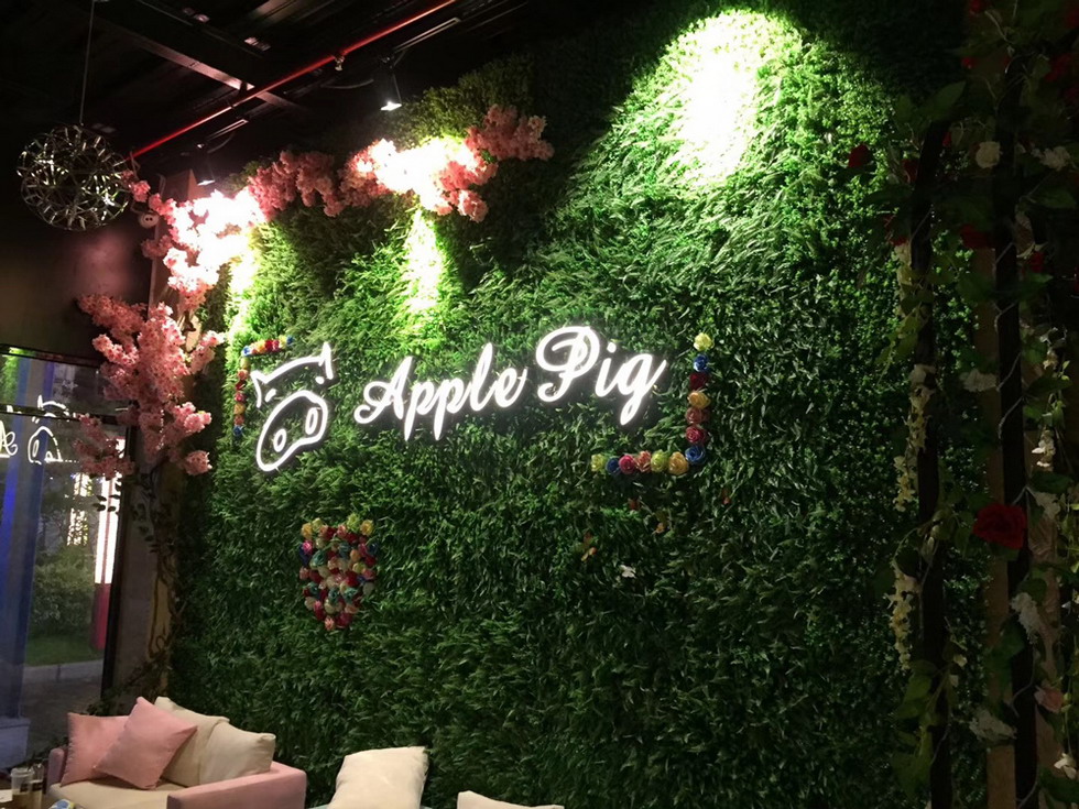 佛山 Apple pig音樂餐吧
