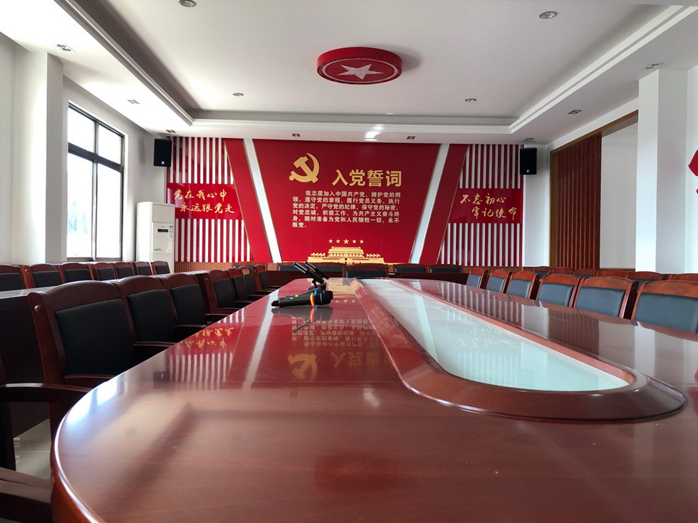 順德鳳城實驗學校黨建